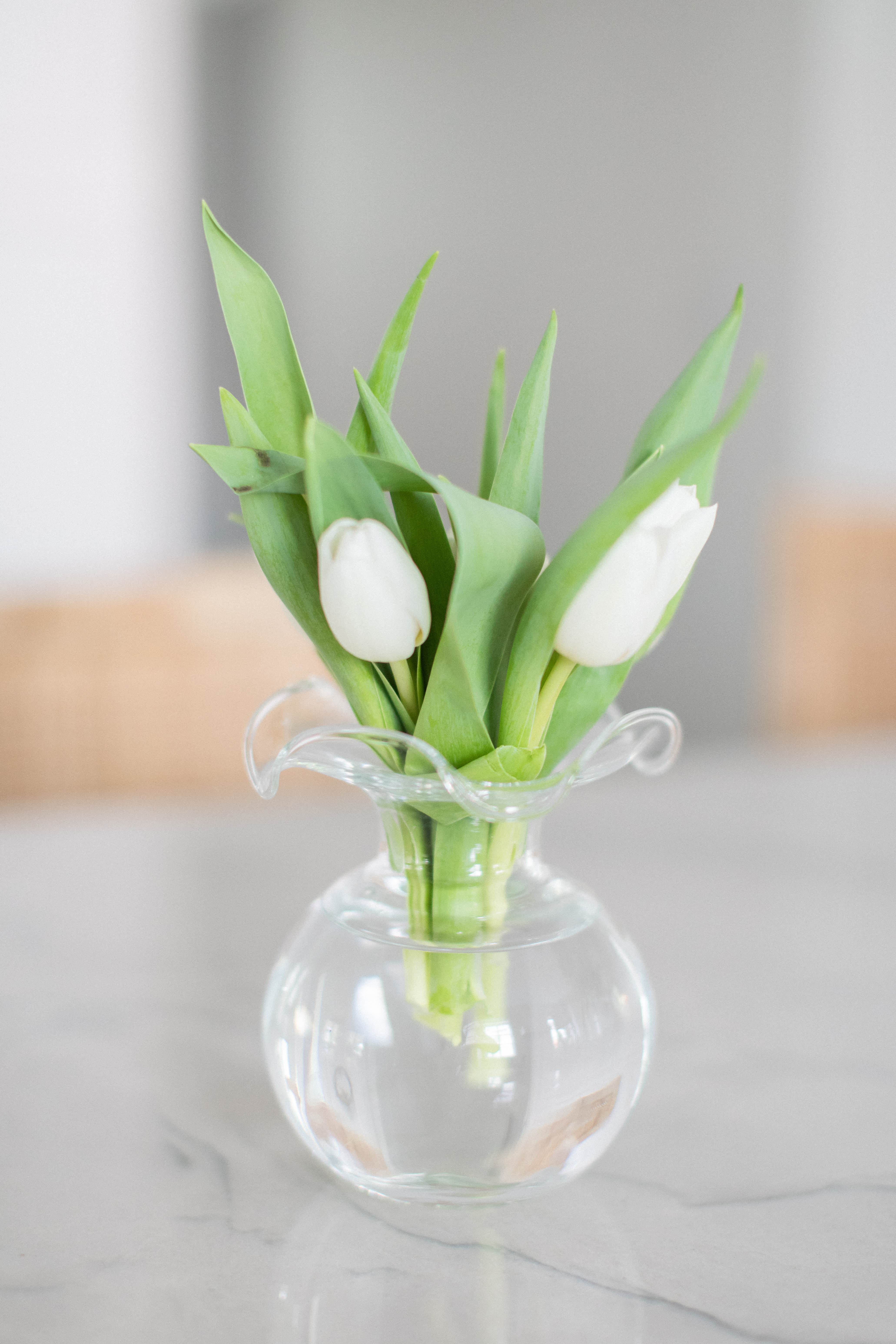 Tulips in small vase